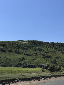 hill with horse on it and grass and blue sky and medium size trees and
