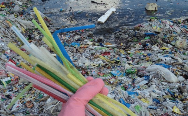 Plastic straws wasted